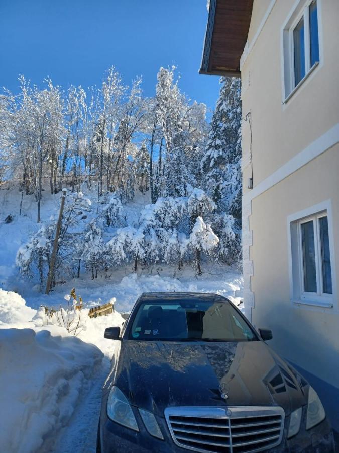 Ferienwohnung Gaensebluemchen Feistritz an der Gail Exteriér fotografie